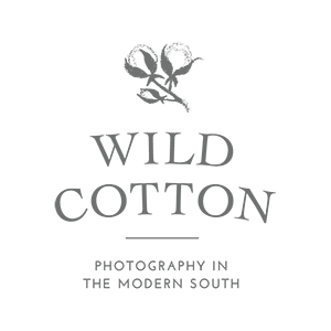 Wild Cotton Photography logo